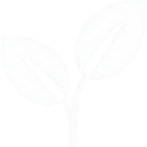 Untitled design (1)